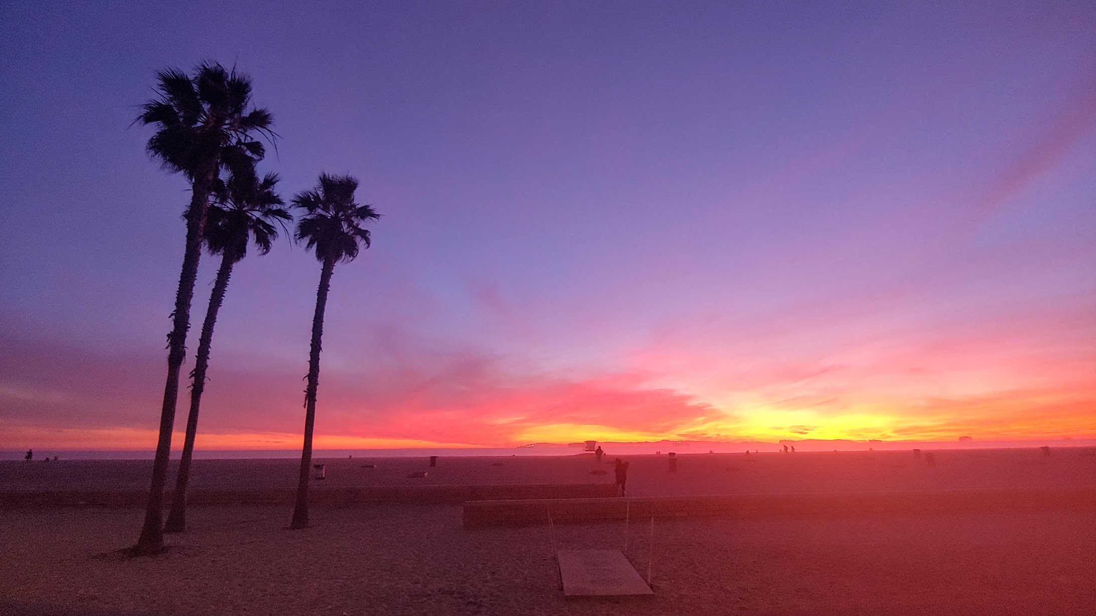 Huntington Beach sunset with palm trees south of the pier.